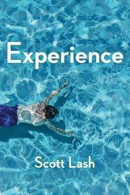 Experience(English, Hardcover, Lash Scott)