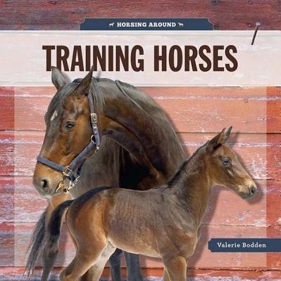 Horsing Around(English, Paperback, Bodden Valerie)