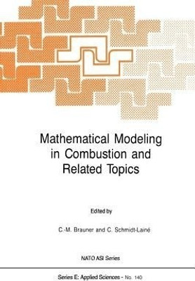 Mathematical Modeling in Combustion and Related Topics(English, Paperback, unknown)