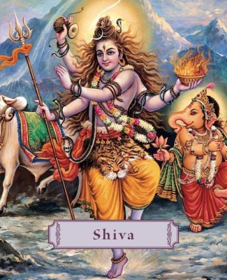 Shiva(English, Hardcover, Bae James H)