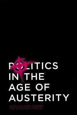 Politics in the Age of Austerity(English, Paperback, unknown)