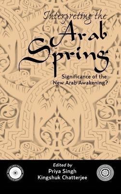 Interpreting the Arab Spring(English, Hardcover, unknown)