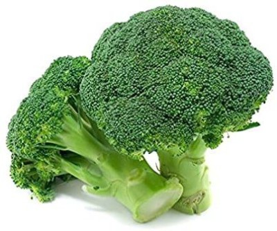 ZAKSCO BIZWORTH BROCCOLI Seed(20 per packet)