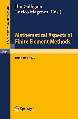 Mathematical Aspects of Finite Element Methods(English, Paperback, unknown)