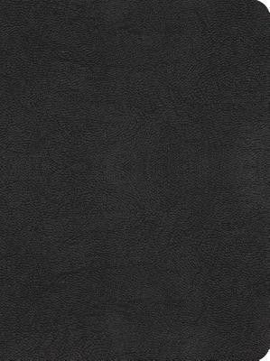 Message//Remix 2.0, The(English, Leather / fine binding, Peterson Eugene H.)
