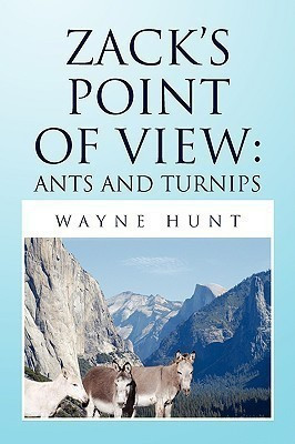 Zack's Point of View(English, Paperback, Hunt Wayne)