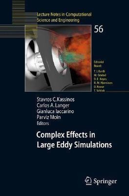 Complex Effects in Large Eddy Simulations(English, Paperback, unknown)