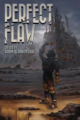 Perfect Flaw(English, Paperback, unknown)