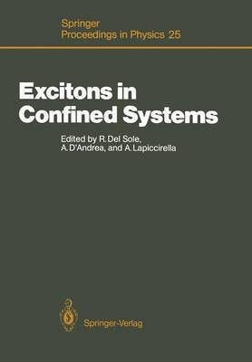 Excitons in Confined Systems(English, Paperback, unknown)