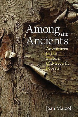 Among the Ancients(English, Paperback, Maloof Joan)