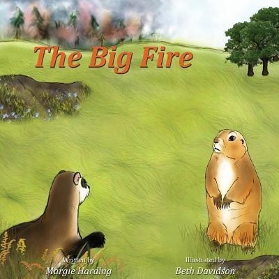The Big Fire(English, Paperback, Harding Margie)