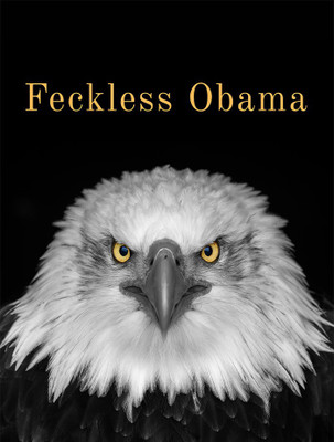 Feckless Obama(English, Paperback, Frederick Lyle Morris)