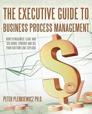 The Executive Guide to Business Process Management(English, Paperback, Plenkiewicz Peter PH D)