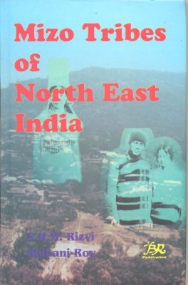 Mizo Tribes of North East India(English, Hardcover, Rizvi S. H. M.)