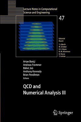 QCD and Numerical Analysis III(English, Paperback, unknown)