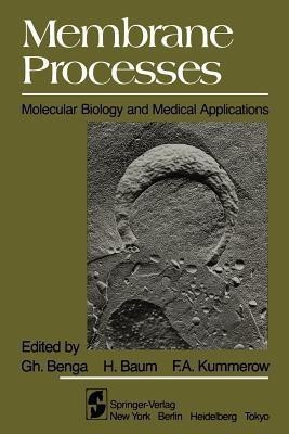 Membrane Processes(English, Paperback, unknown)