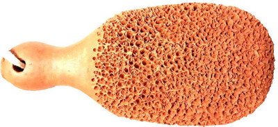Turtulsgroup Turtuls Group Terracotta Natural Pumice Stone Foot Scrubber Set of-2(Brown)