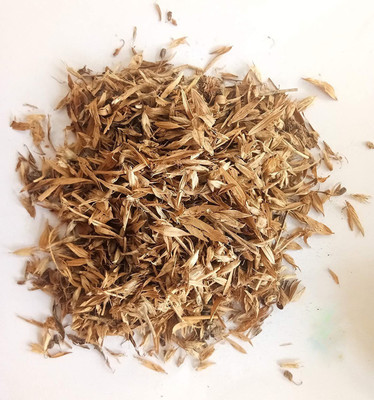 EasySeeds Stylo Hamata Grass, Fodder Grass Seed(1000 per packet)