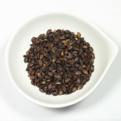 48 Degrees Subabool Seeds 100 Gms Seed(100 per packet)