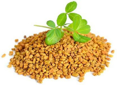 V Seed Methi 40 Seed Seed(40 per packet)