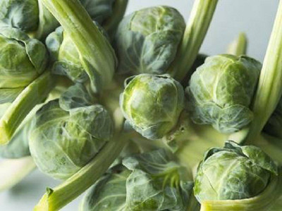 V Seed Brussel's Sprout 10 Seed Seed(10 per packet)