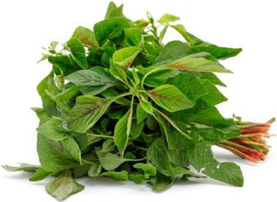 V Seed Amaranthus Green 20 Seed Seed(20 per packet)
