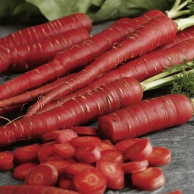 Aywal Carrot Hybrid Vegetable Seed(8000 per packet)