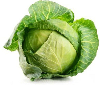 V Seed Cabbage 20 Seed Seed(20 per packet)