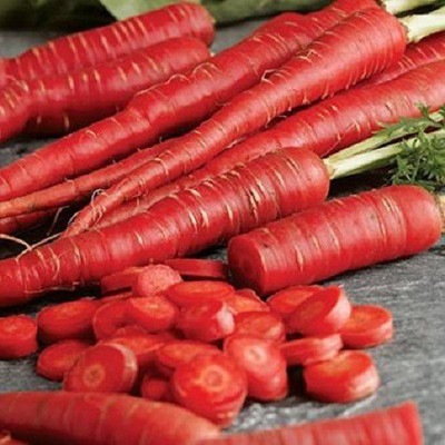 V Seed Carrot / Gajar Seed(30 per packet)