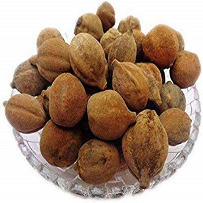 48 Degrees Baheda seeds Seed(200 per packet)