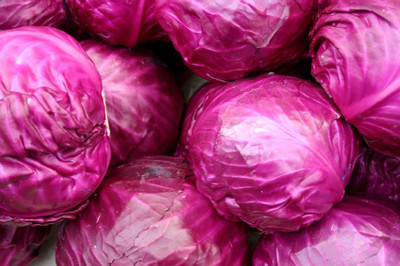 ENINE Cabbage Seed(500 per packet)