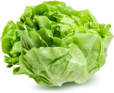 V Seed Lettuce Herbs 10 Seed Seed(10 per packet)