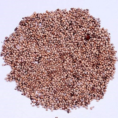 48 Degrees Guvava Seeds 100 Gms Seed(100 per packet)