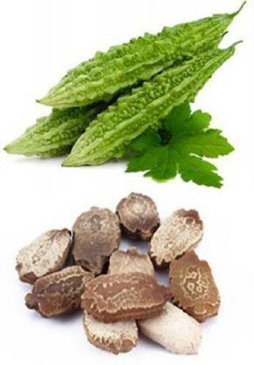 V Seed Bitter Gourd / Karela 20 Seed Seed(20 per packet)