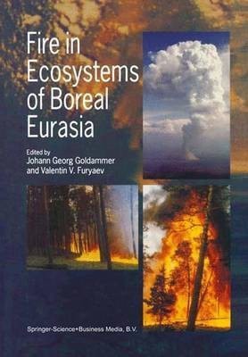 Fire in Ecosystems of Boreal Eurasia(English, Paperback, unknown)