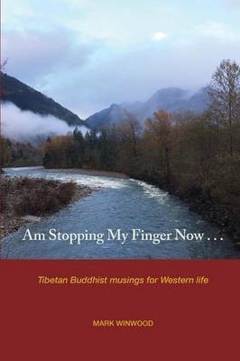 Am Stopping My Finger Now(English, Paperback, Winwood Mark S)