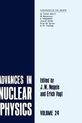 Advances in Nuclear Physics(English, Hardcover, unknown)