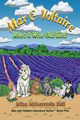 Max and Voltaire Meet a Wise Old Bird(English, Paperback, Bail Mina Mauerstein)