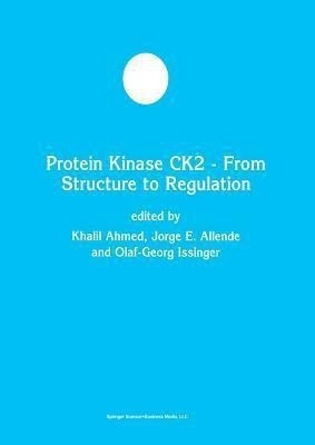 Protein Kinase CK2 - From Structure to Regulation(English, Paperback, unknown)