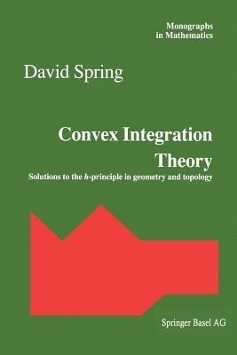 Convex Integration Theory(English, Paperback, unknown)