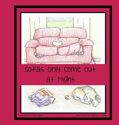 Sofas Only Come Out at Night(English, Hardcover, Lane W David)