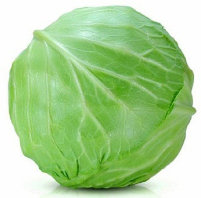 V Seed Cabbage Green Seed(20 per packet)