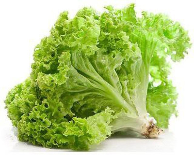 V Seed Lettuce Green Seed(40 per packet)