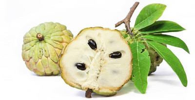 V Seed Sharifa (Custard apple) Seed(10 per packet)