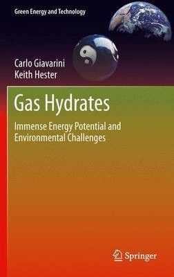 Gas Hydrates(English, Paperback, Giavarini Carlo)