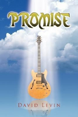 Promise(English, Paperback, Levin David)