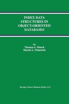 Index Data Structures in Object-Oriented Databases(English, Paperback, Mueck Thomas A.)