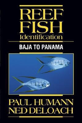 Reef Fish Identification(English, Paperback, Humann Paul)