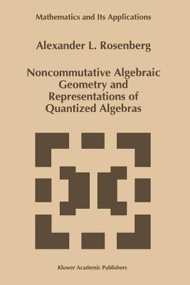 Noncommutative Algebraic Geometry and Representations of Quantized Algebras(English, Paperback, Rosenberg A.)