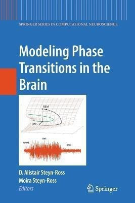 Modeling Phase Transitions in the Brain(English, Paperback, unknown)